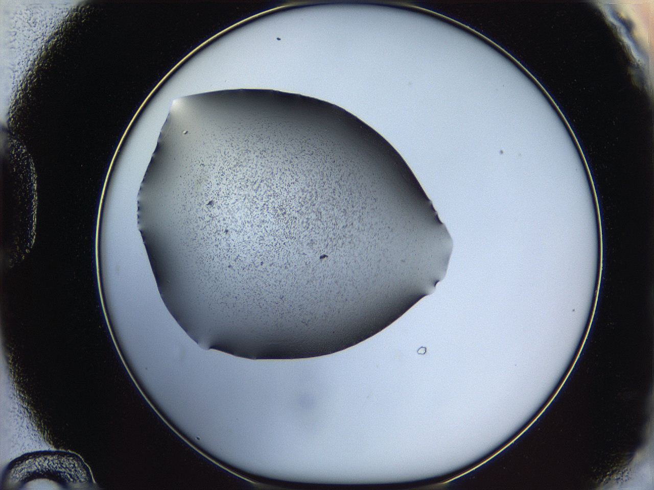 0645_D12_ImagerDefaults_6.jpg