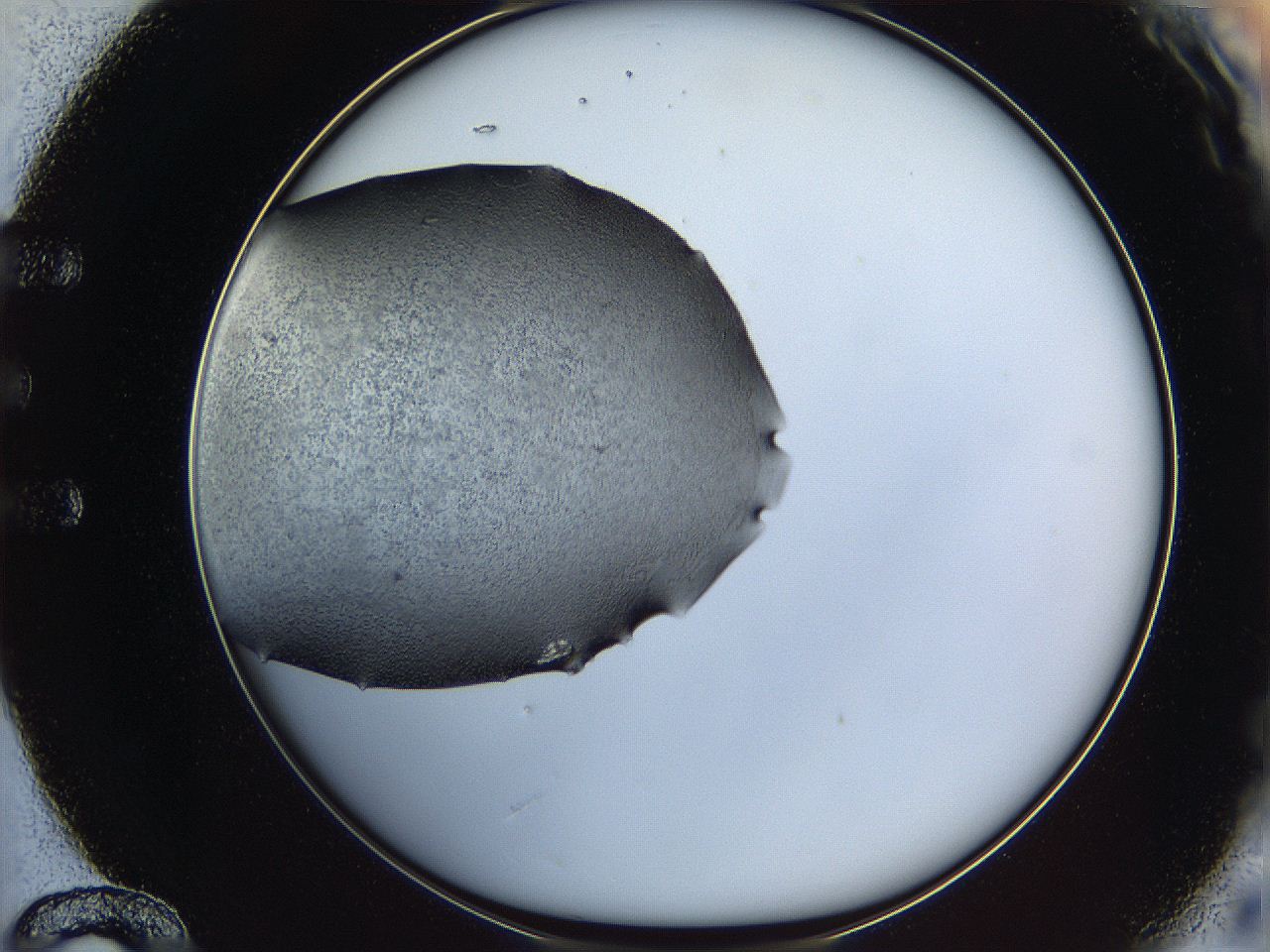 0645_E12_ImagerDefaults_6.jpg