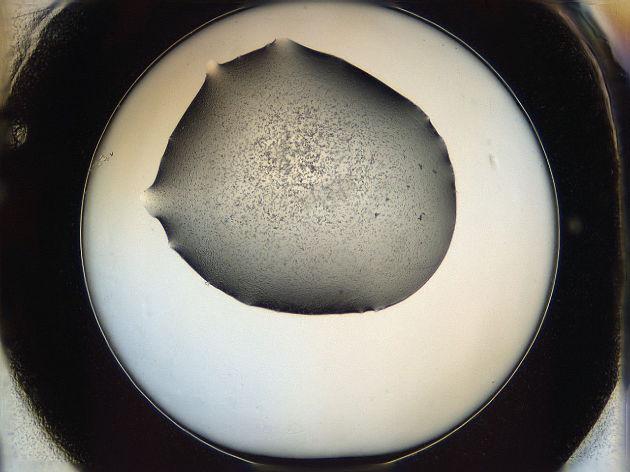0645_F1_ImagerDefaults_6.jpg
