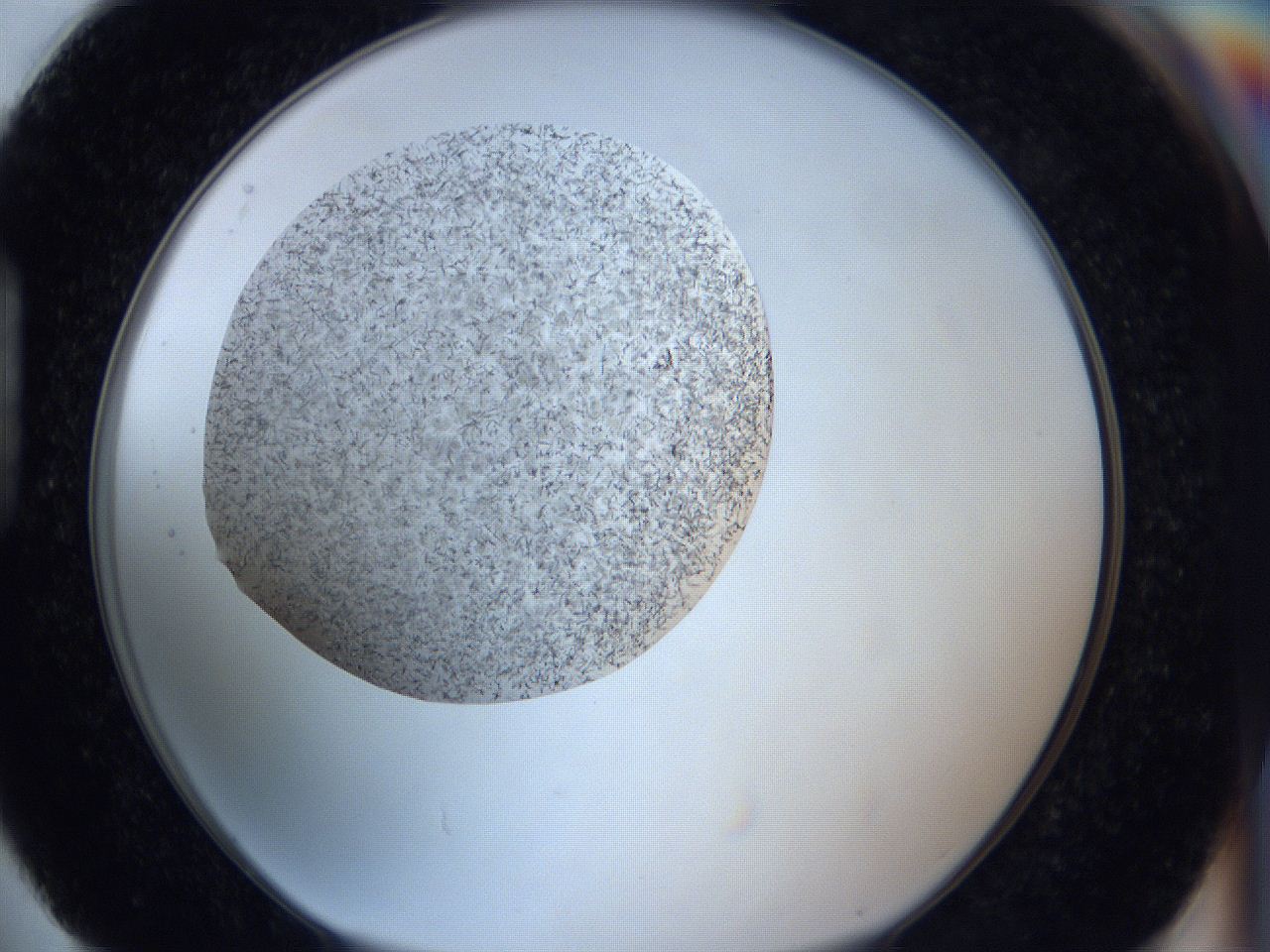 0646_H4_ImagerDefaults_8.jpg