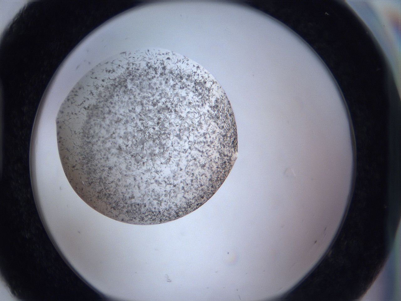 0646_H8_ImagerDefaults_8.jpg