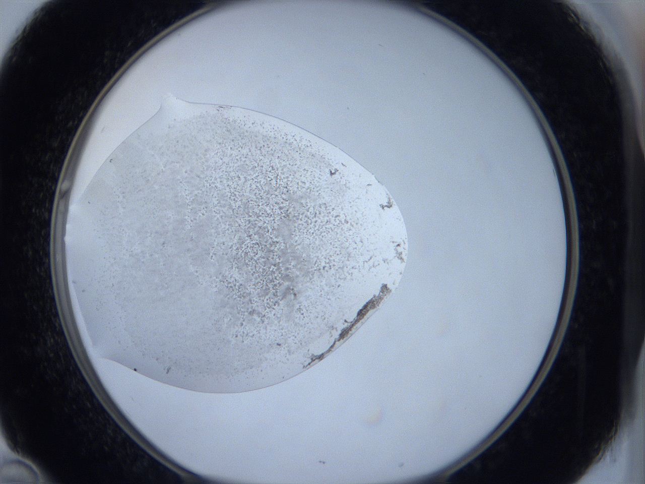 0646_D10_ImagerDefaults_6.jpg