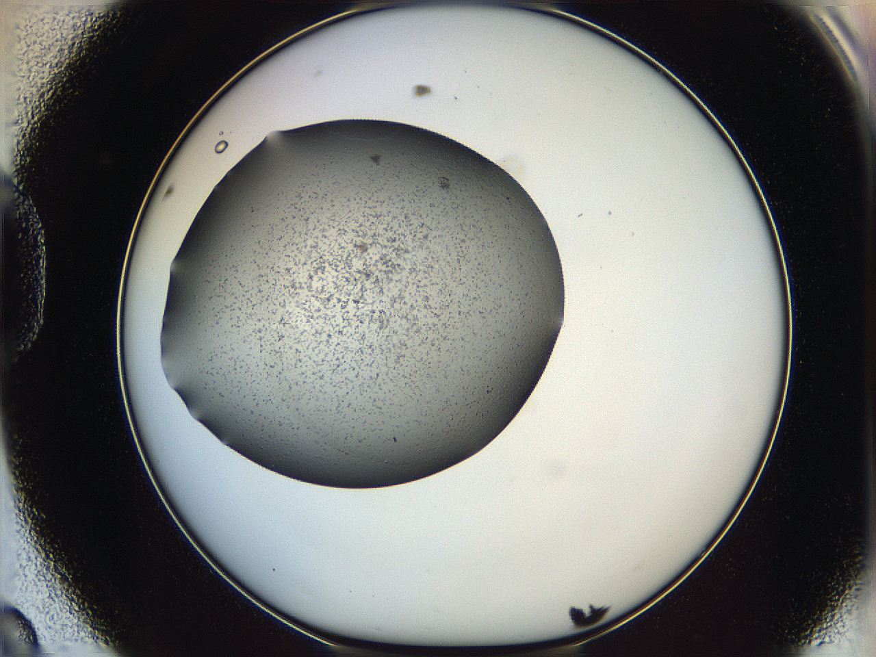 0647_D8_ImagerDefaults_6.jpg