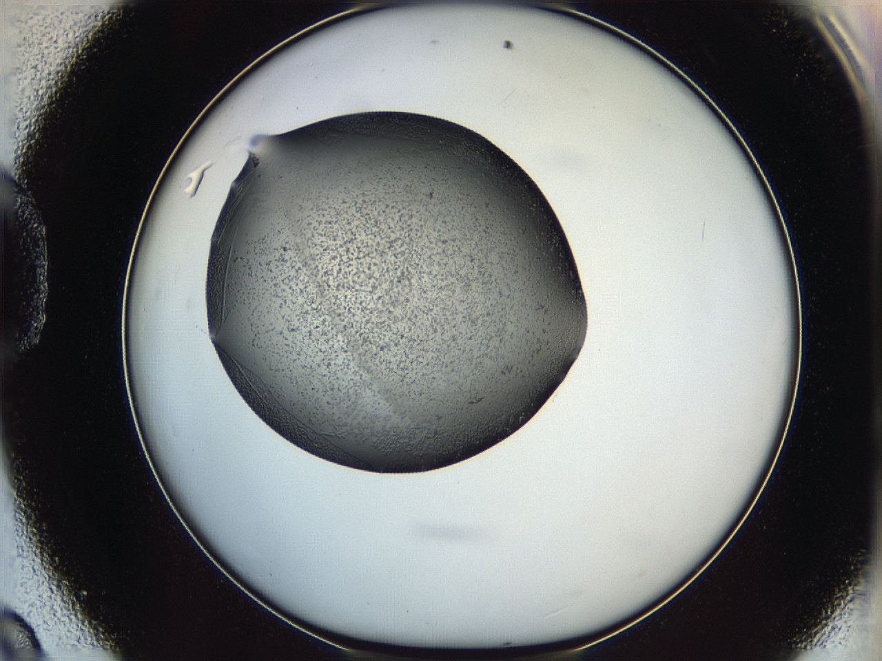 0647_D9_ImagerDefaults_6.jpg