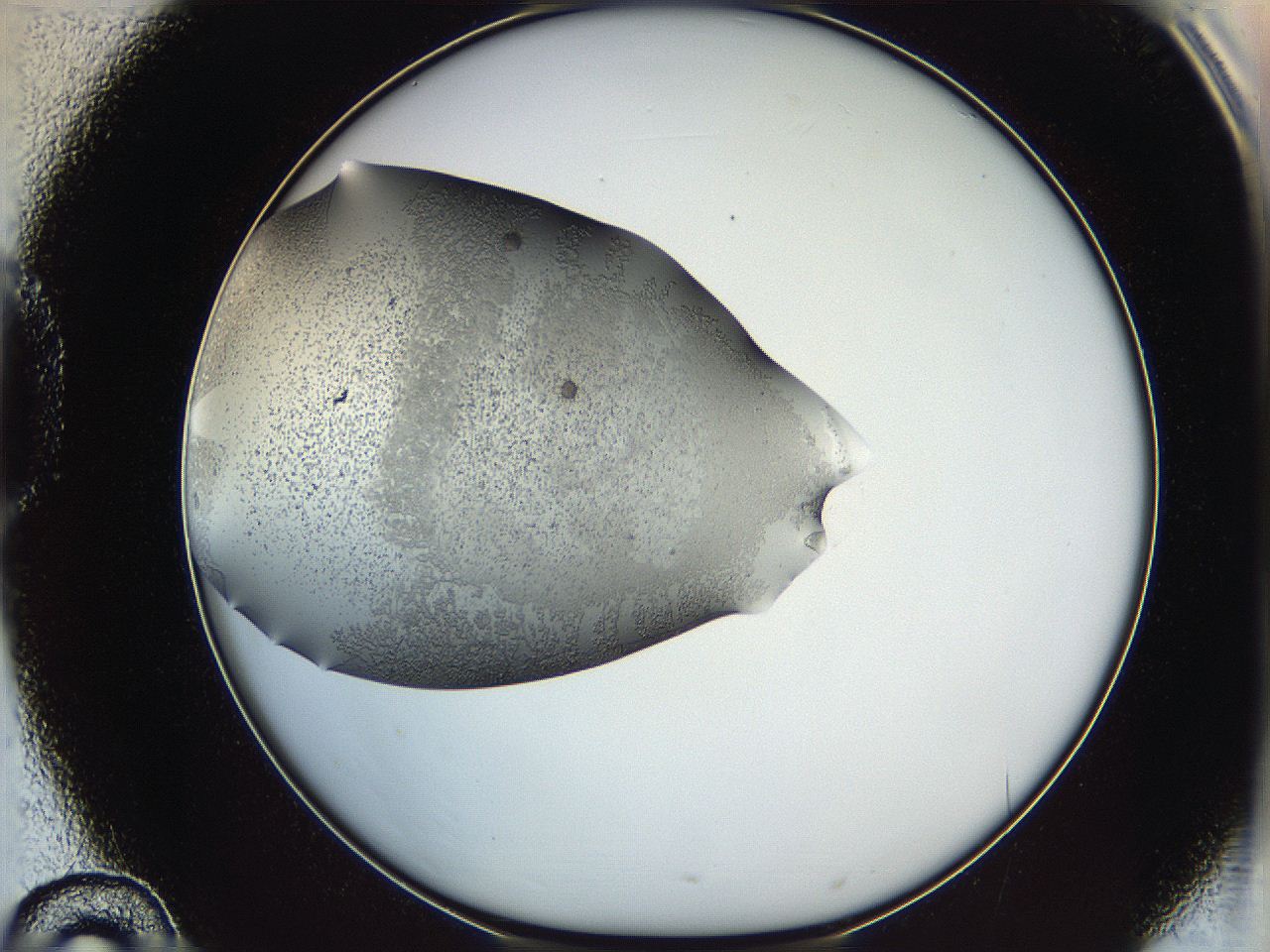 0647_D10_ImagerDefaults_6.jpg