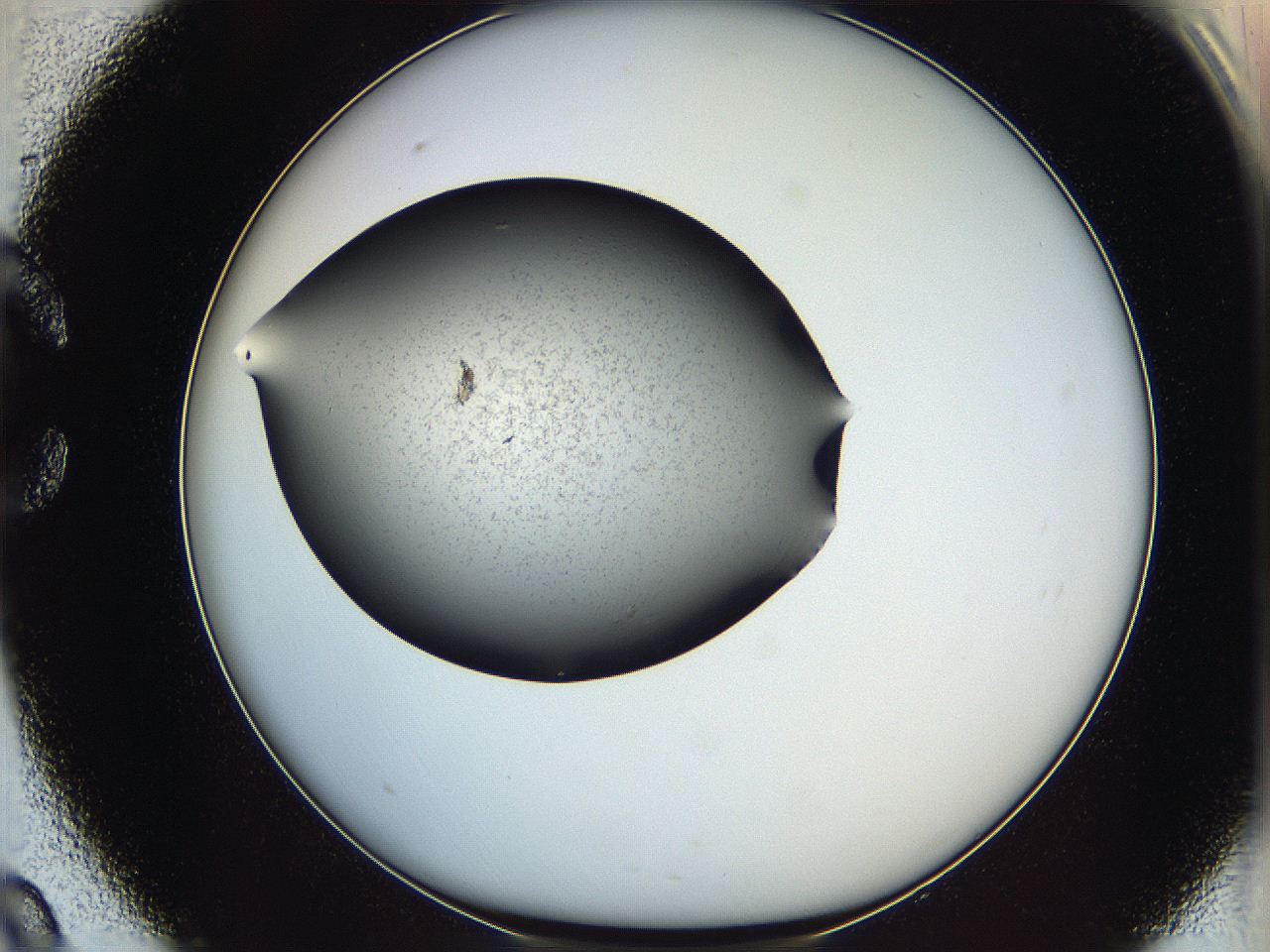 0647_C9_ImagerDefaults_6.jpg