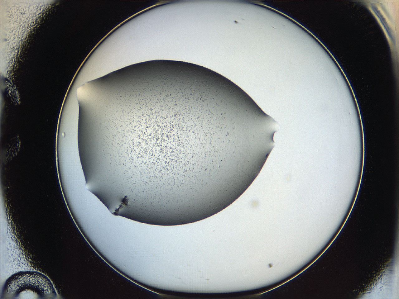 0647_C10_ImagerDefaults_6.jpg
