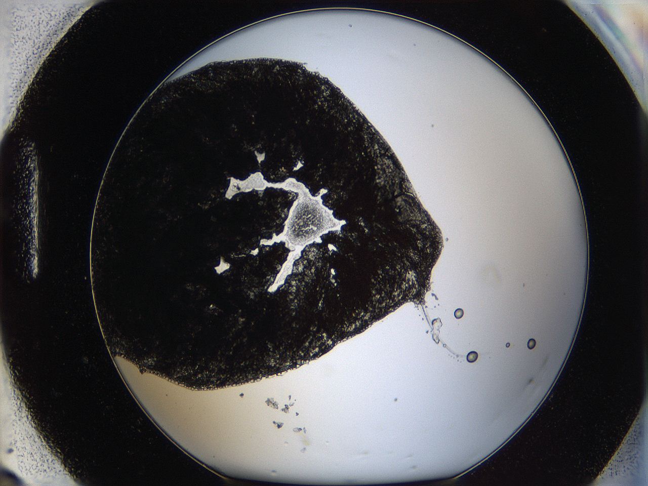 0647_H8_ImagerDefaults_9.jpg