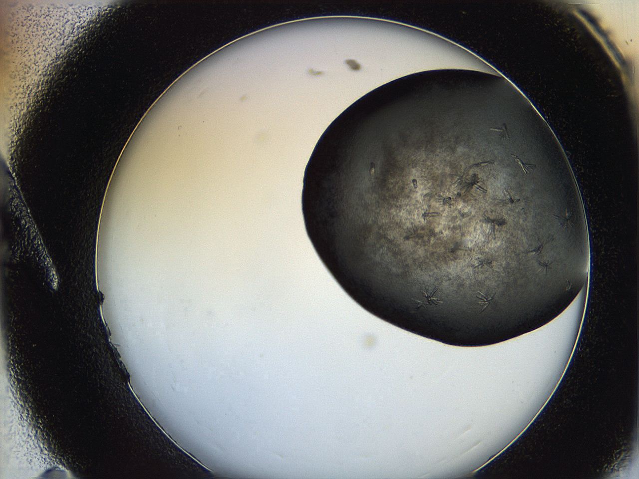 0649_A11_ImagerDefaults_8.jpg