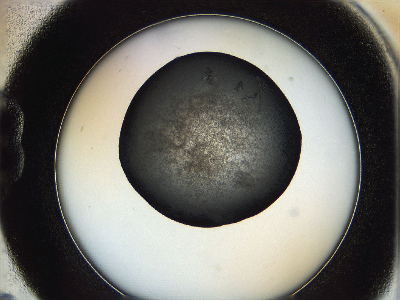 0649_B5_ImagerDefaults_7.jpg