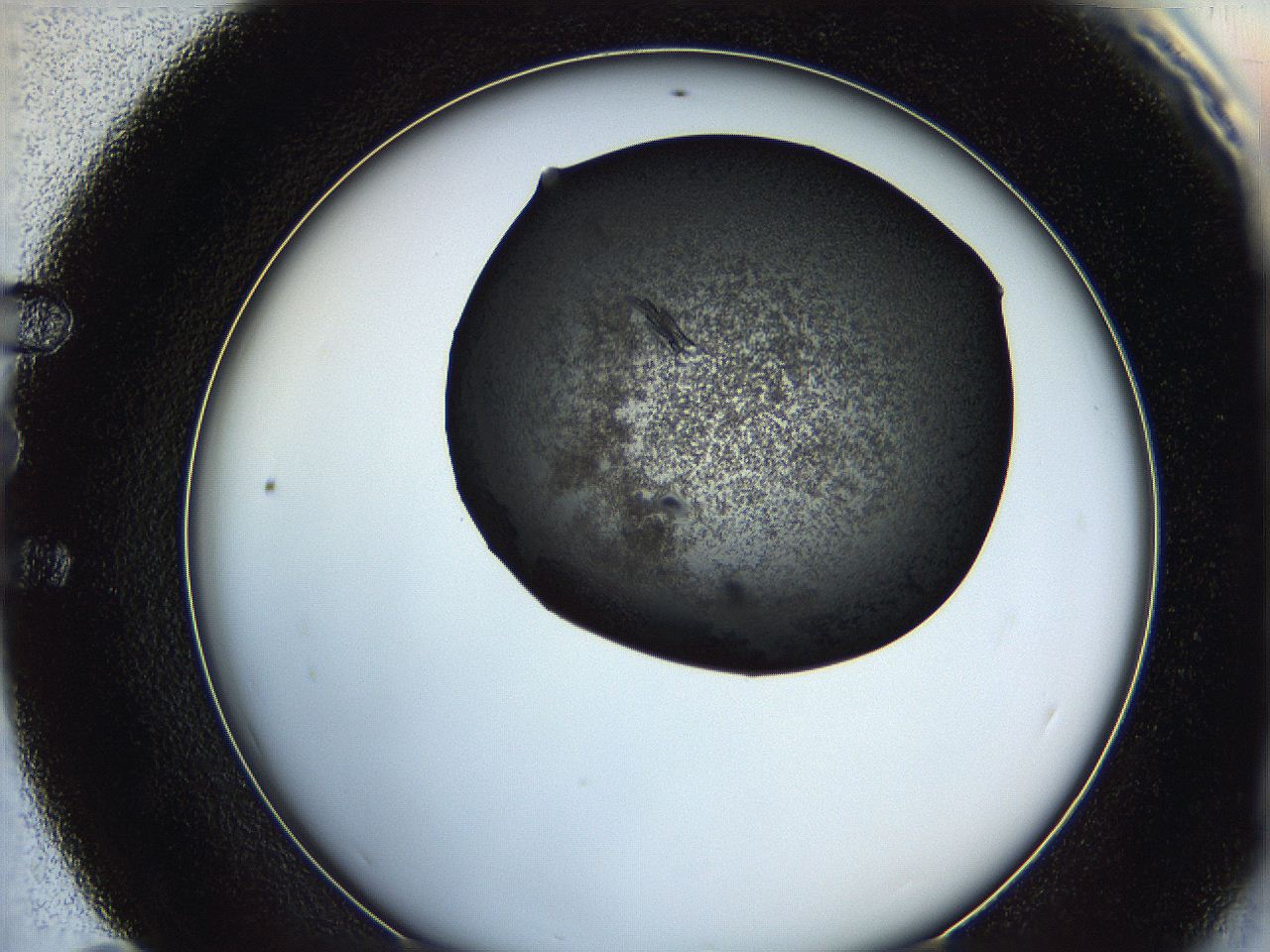 0649_E11_ImagerDefaults_8.jpg