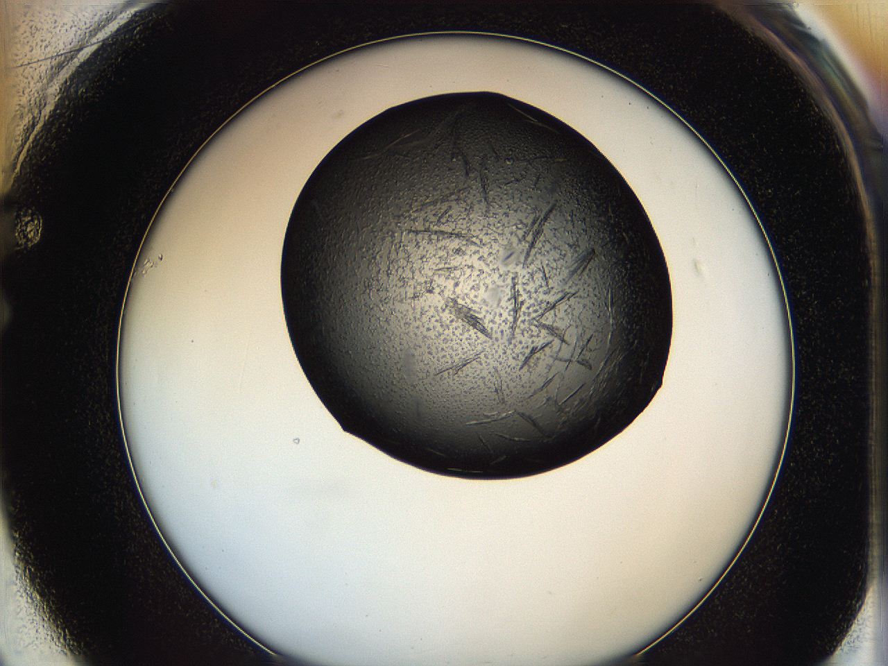 0649_F1_ImagerDefaults_7.jpg