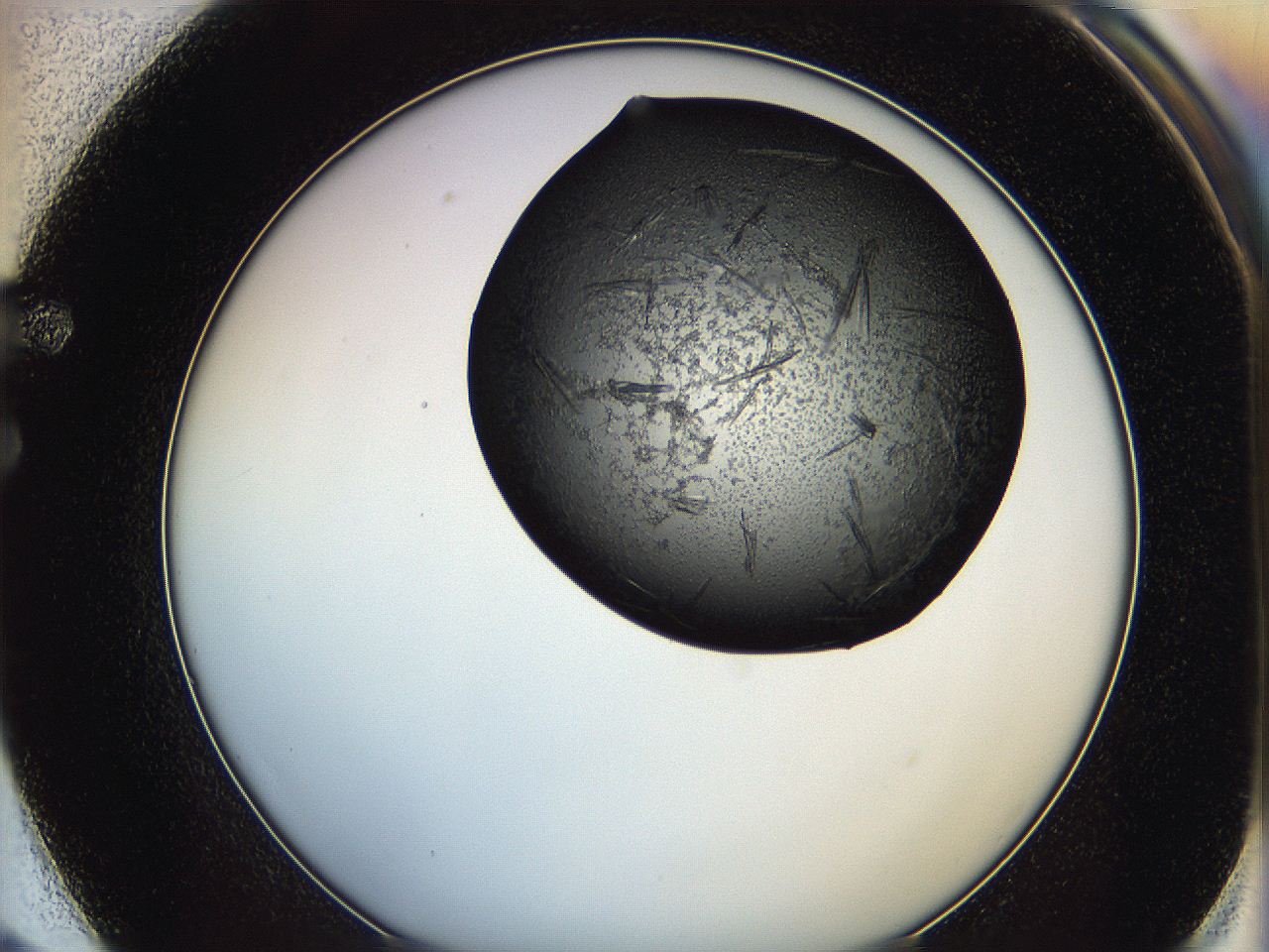 0649_F2_ImagerDefaults_7.jpg