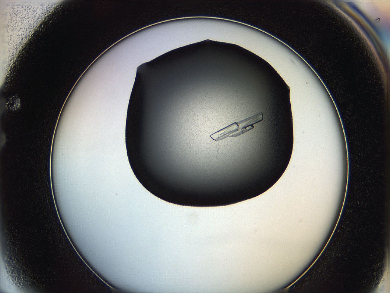 0649_F4_ImagerDefaults_9.jpg