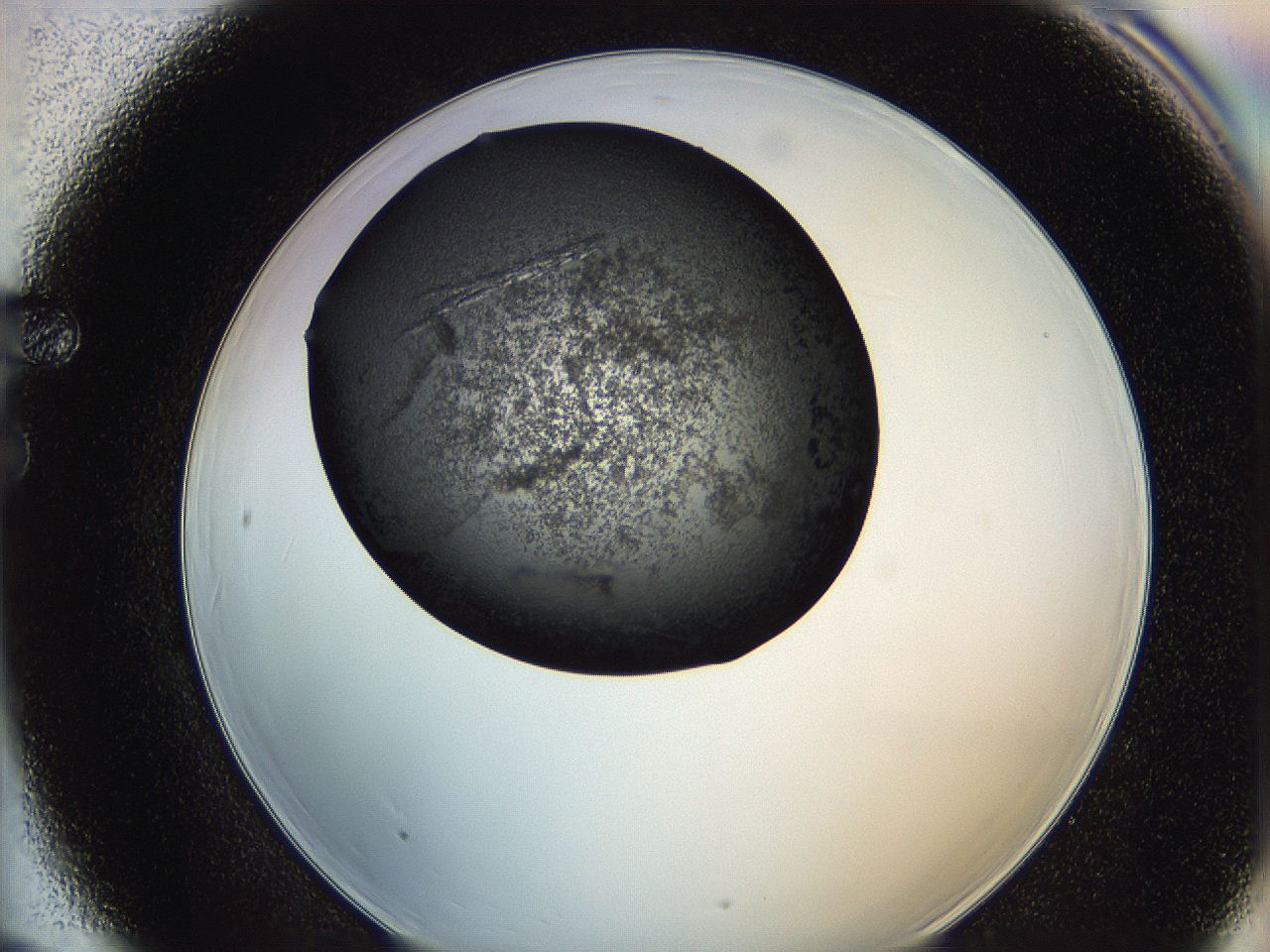 0649_F6_ImagerDefaults_7.jpg