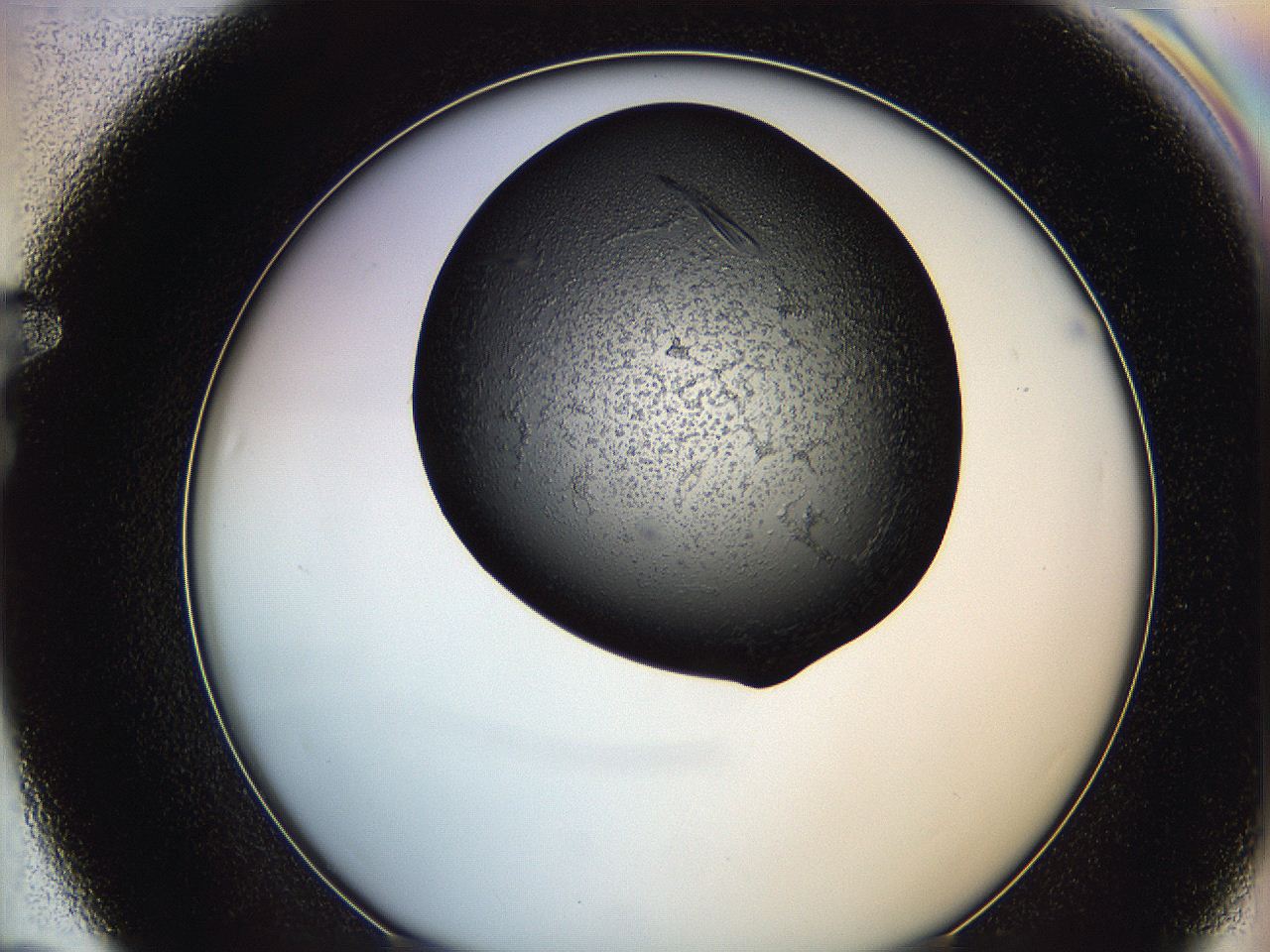 0649_F7_ImagerDefaults_8.jpg
