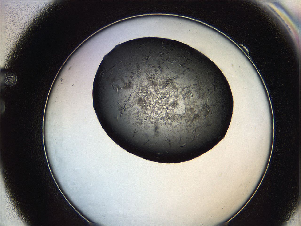 0649_F9_ImagerDefaults_6.jpg