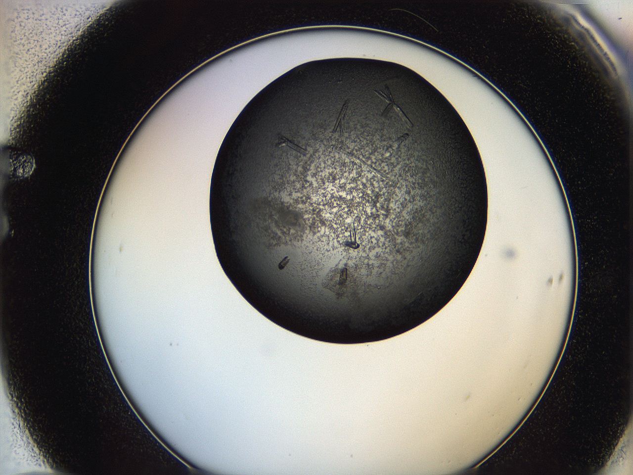 0649_F10_ImagerDefaults_9.jpg