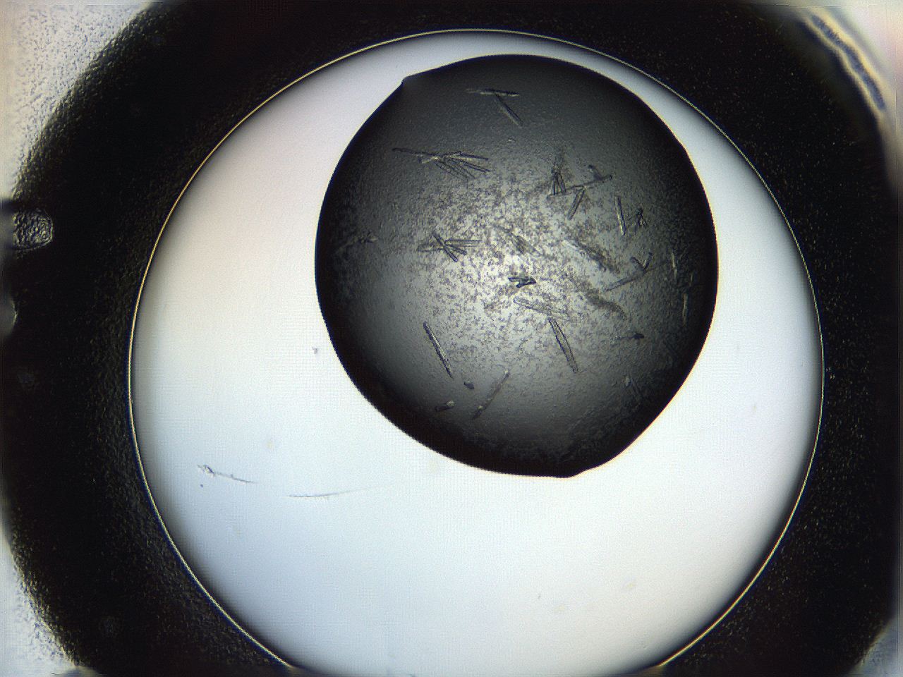 0649_F11_ImagerDefaults_8.jpg
