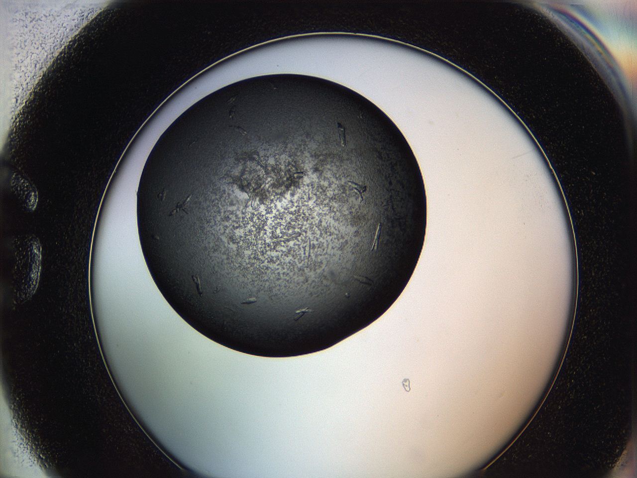 0649_G6_ImagerDefaults_8.jpg