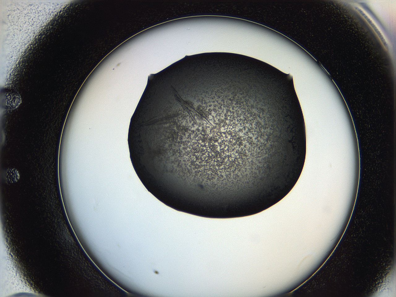 0649_E10_ImagerDefaults_9.jpg
