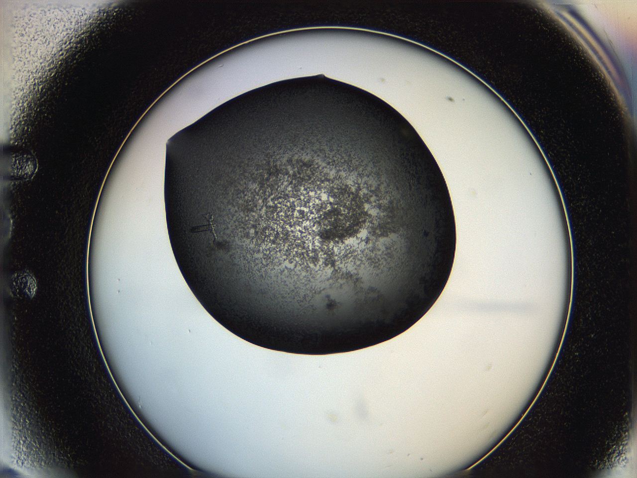 0649_E6_ImagerDefaults_7.jpg