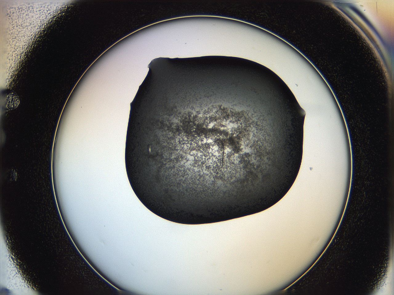 0649_E4_ImagerDefaults_7.jpg