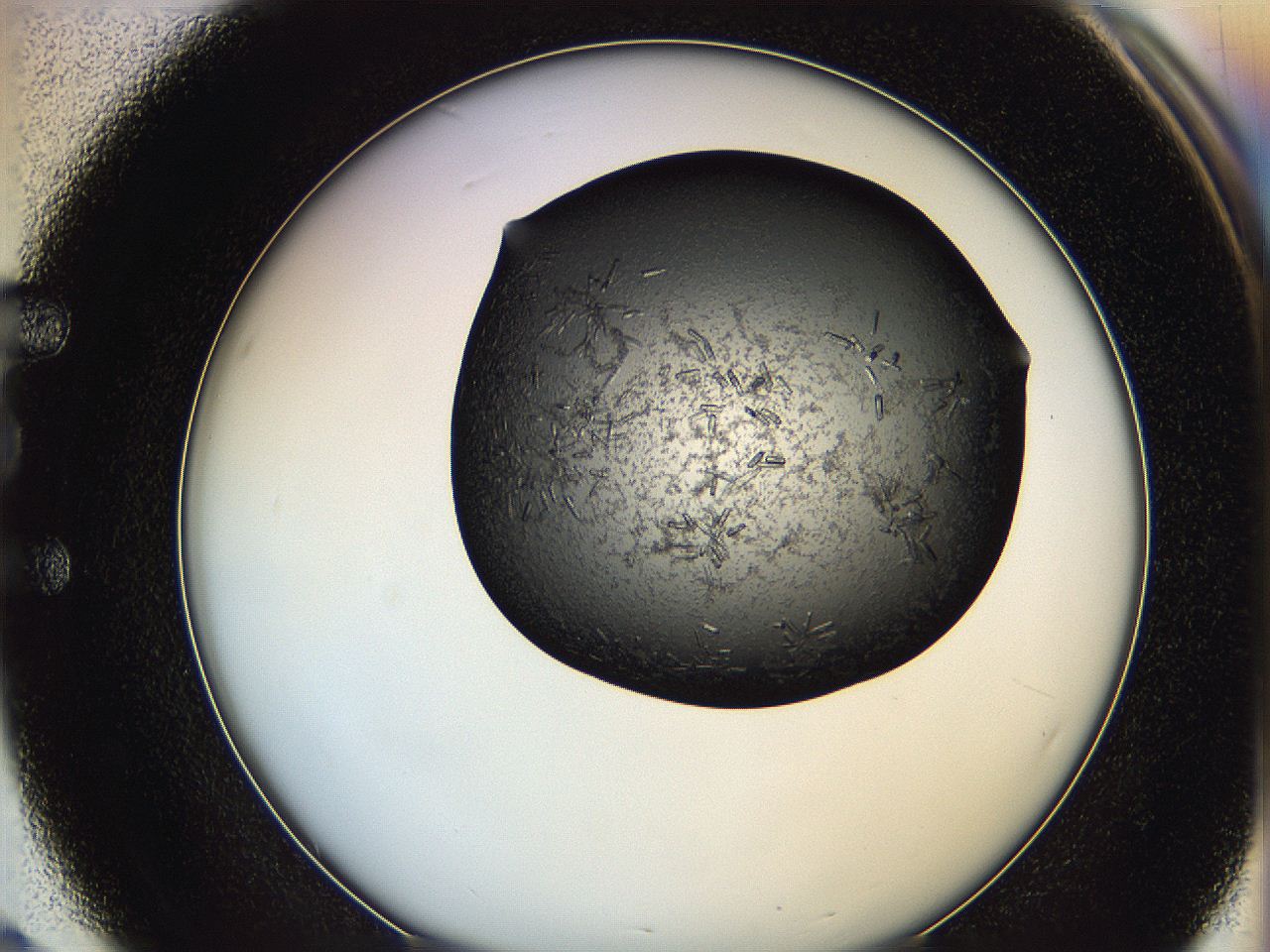 0649_E3_ImagerDefaults_7.jpg
