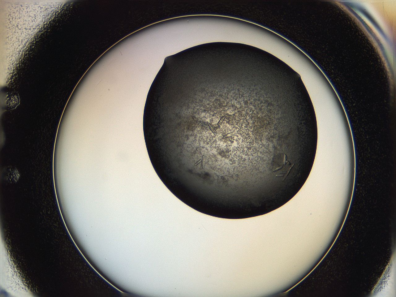 0649_E2_ImagerDefaults_8.jpg