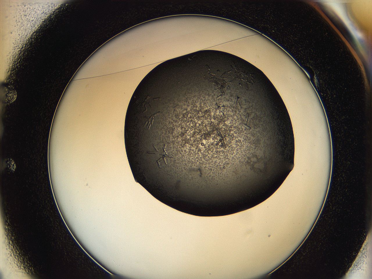0649_E1_ImagerDefaults_7.jpg