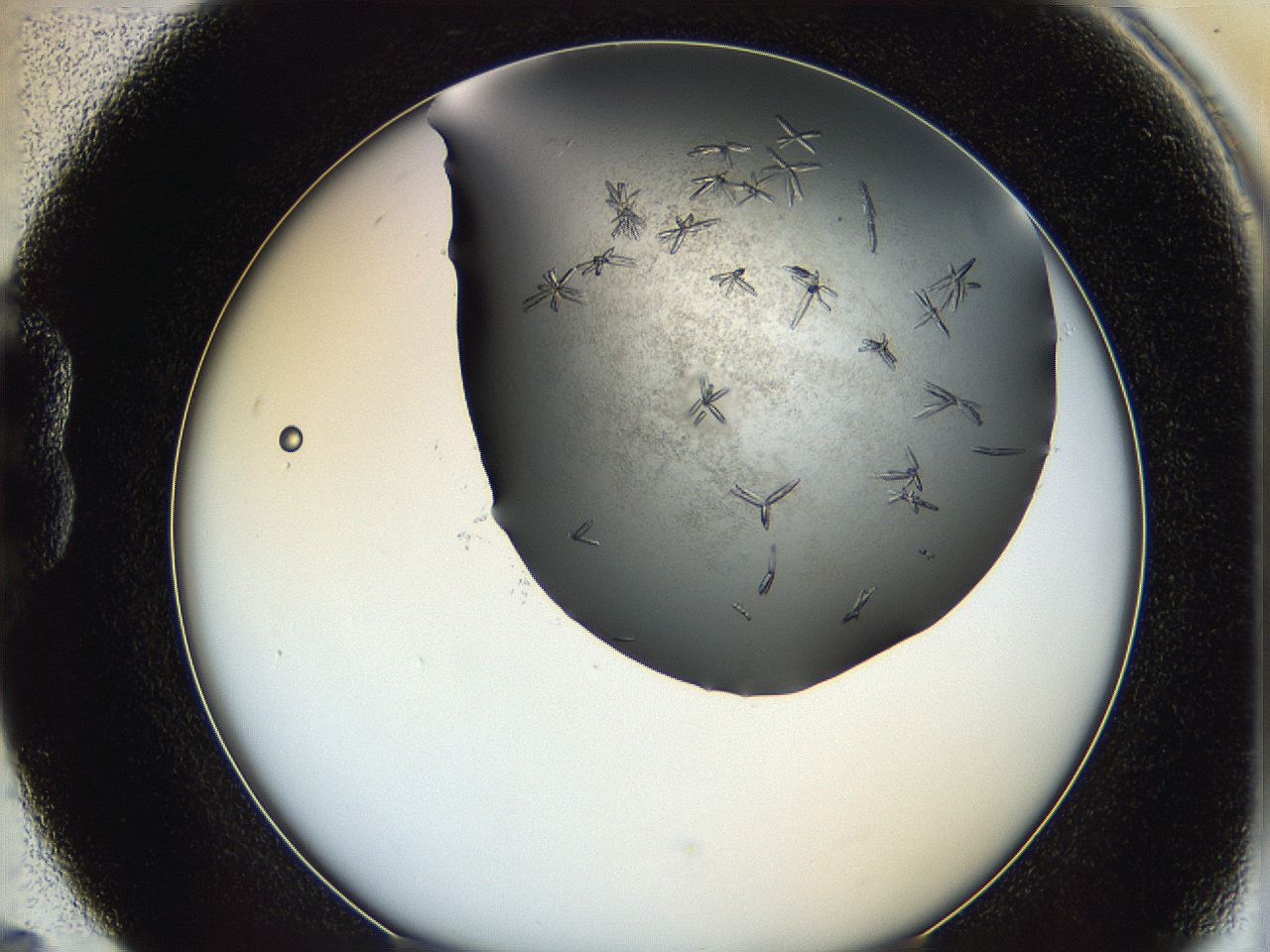 064b_B5_ImagerDefaults_7.jpg