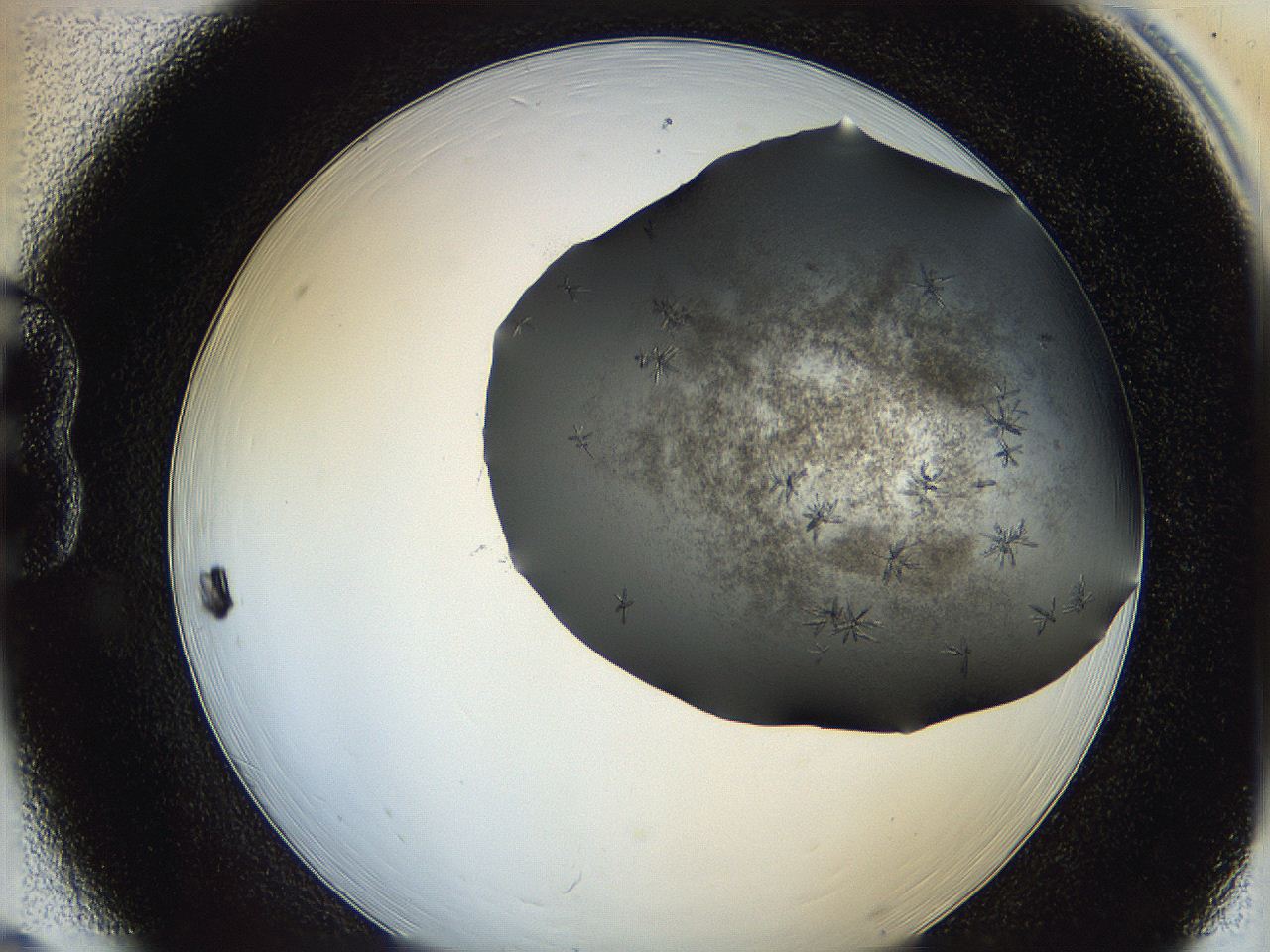 064b_B6_ImagerDefaults_6.jpg