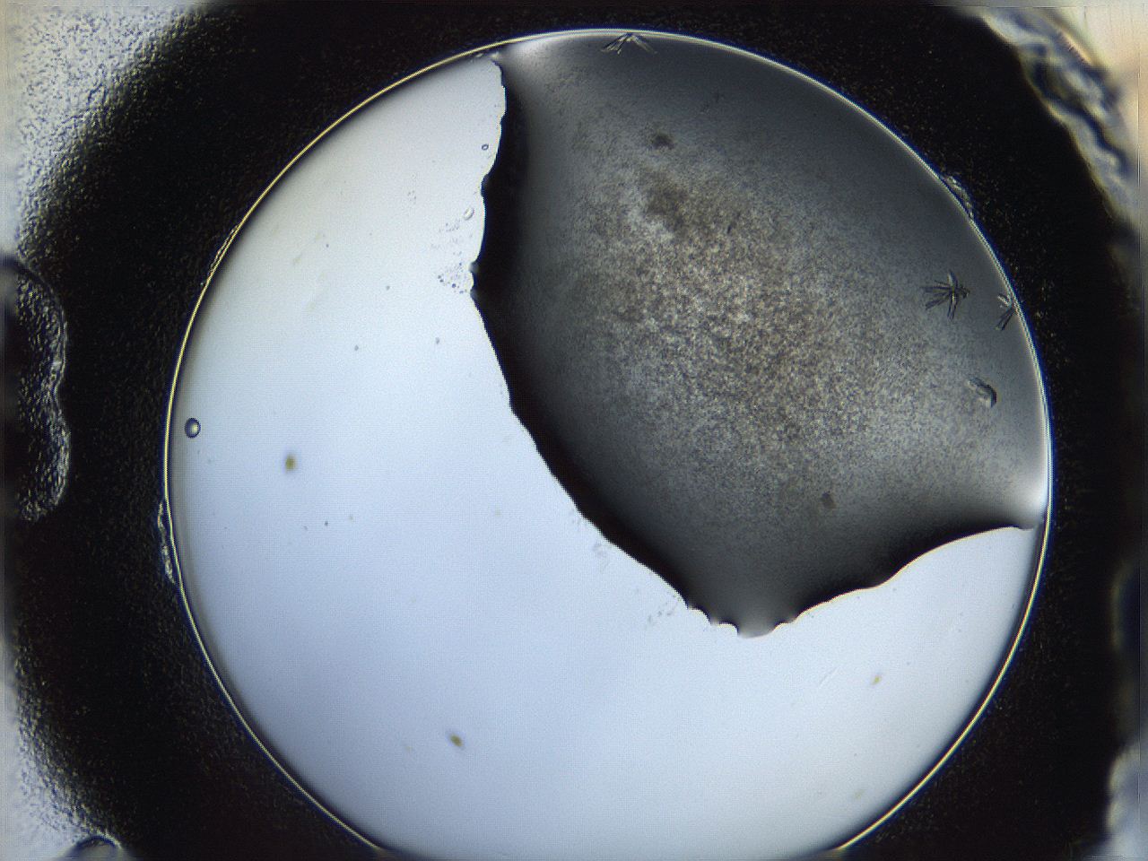064b_B11_ImagerDefaults_7.jpg