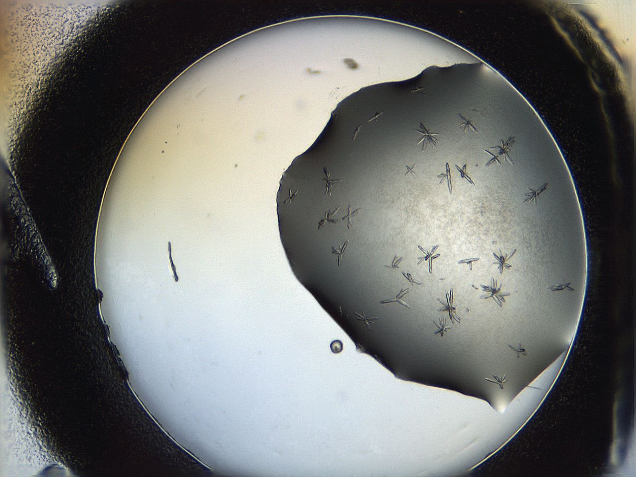 064b_A11_ImagerDefaults_7.jpg