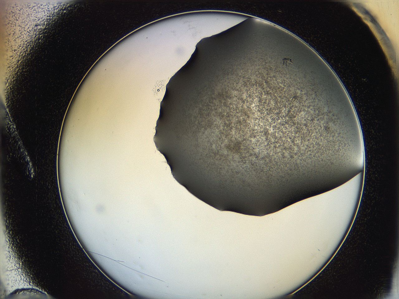 064b_A10_ImagerDefaults_6.jpg
