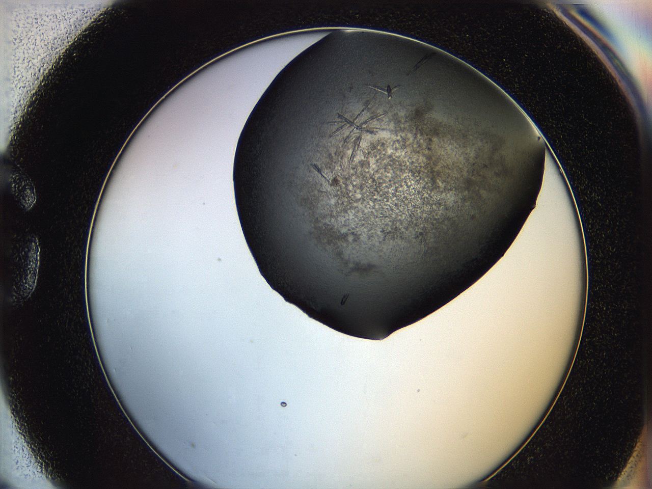 064b_G3_ImagerDefaults_7.jpg