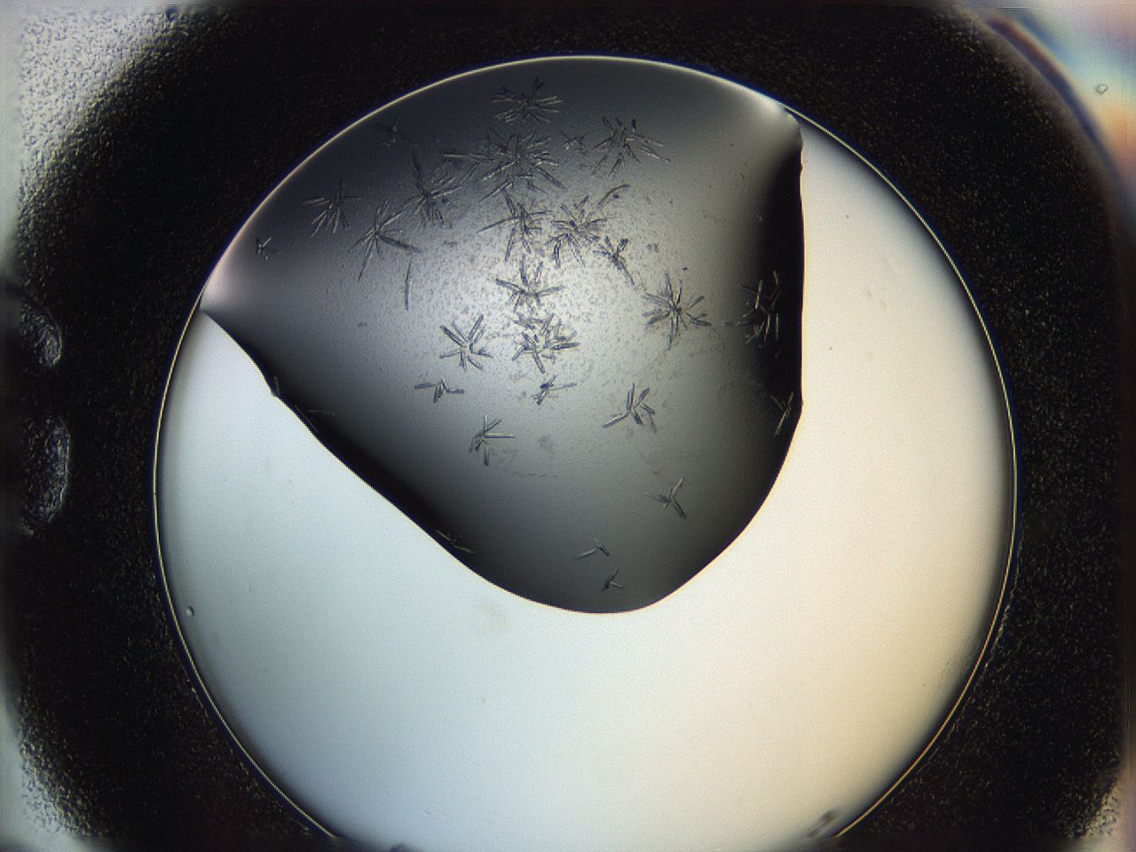064b_G5_ImagerDefaults_7.jpg