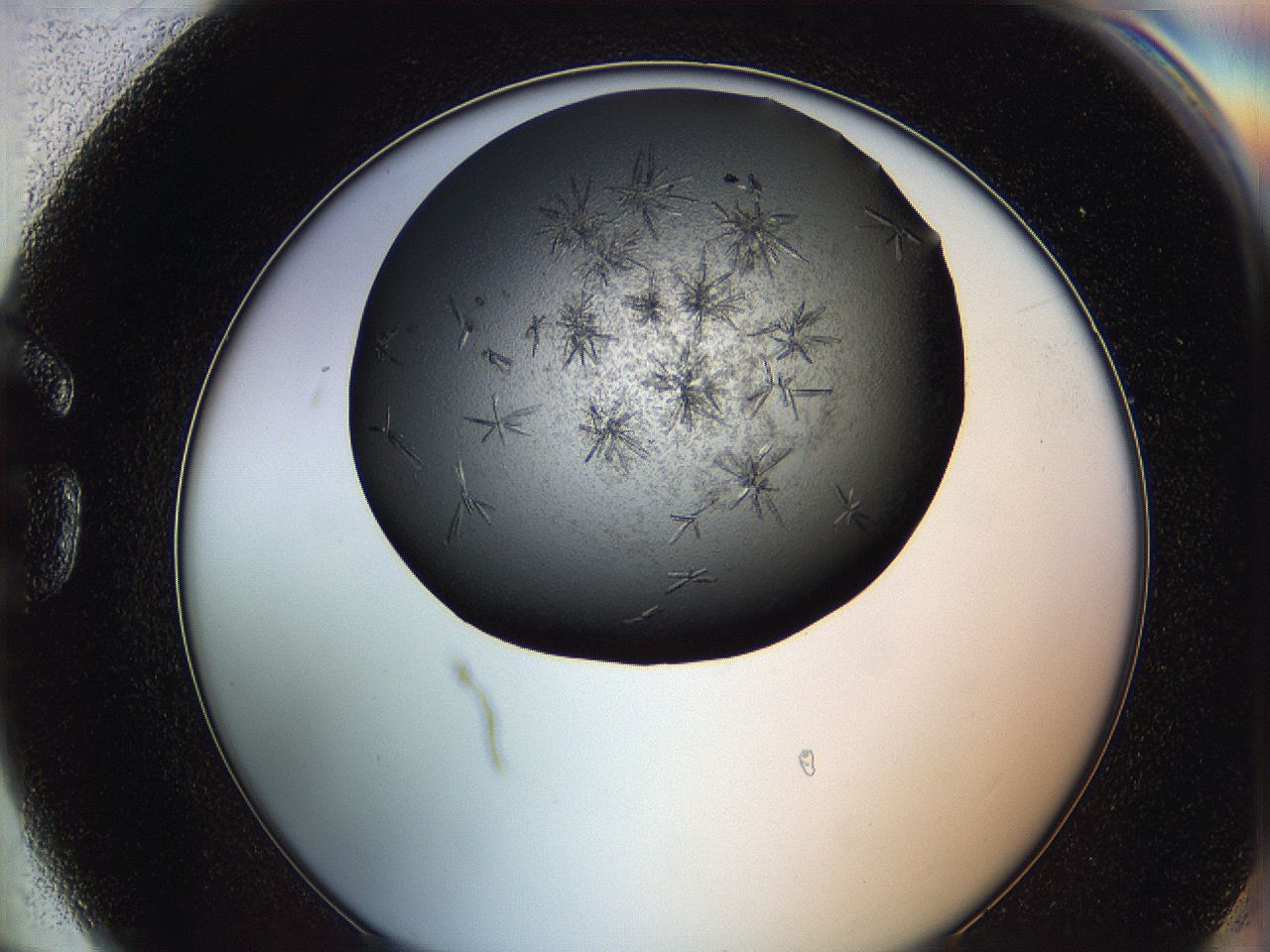 064b_G6_ImagerDefaults_7.jpg