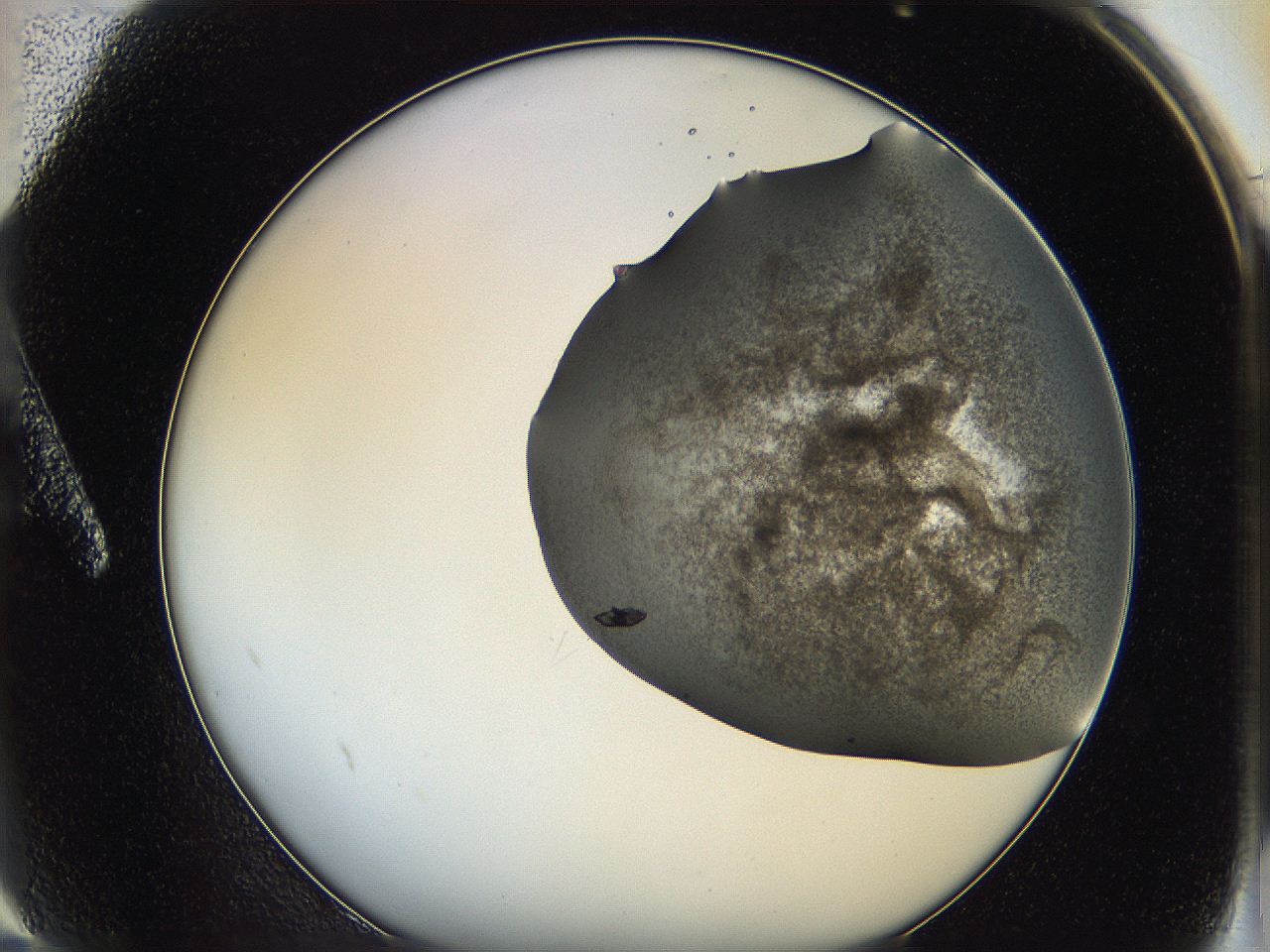 064c_A2_ImagerDefaults_6.jpg