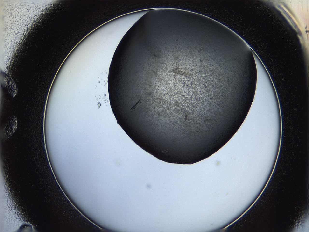 064d_C11_ImagerDefaults_7.jpg