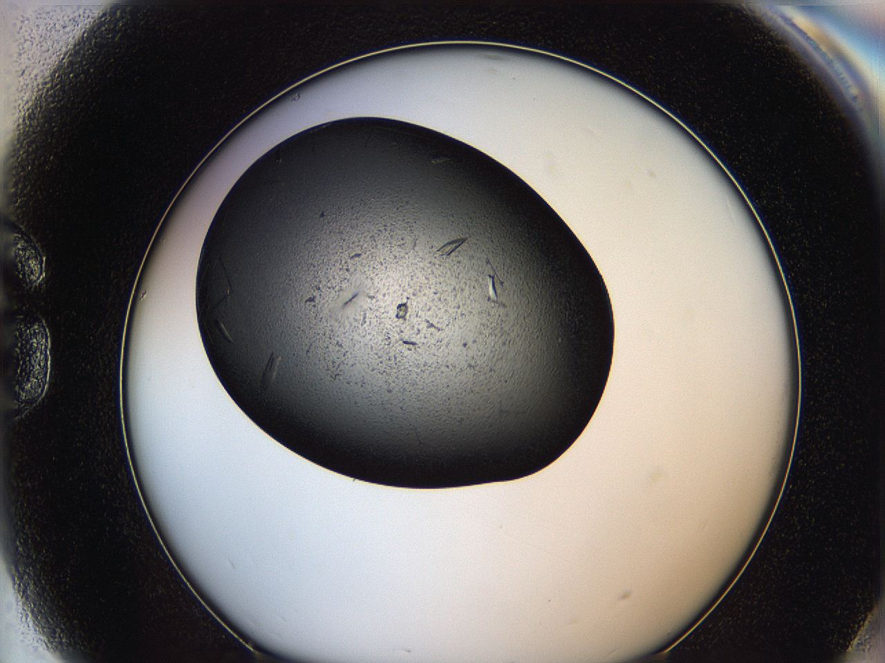 064e_G9_ImagerDefaults_8.jpg