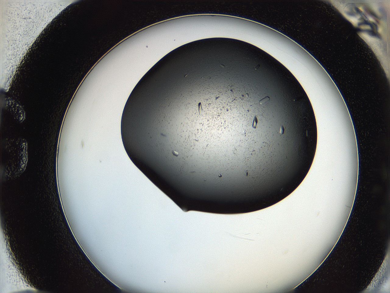 064e_G12_ImagerDefaults_9.jpg