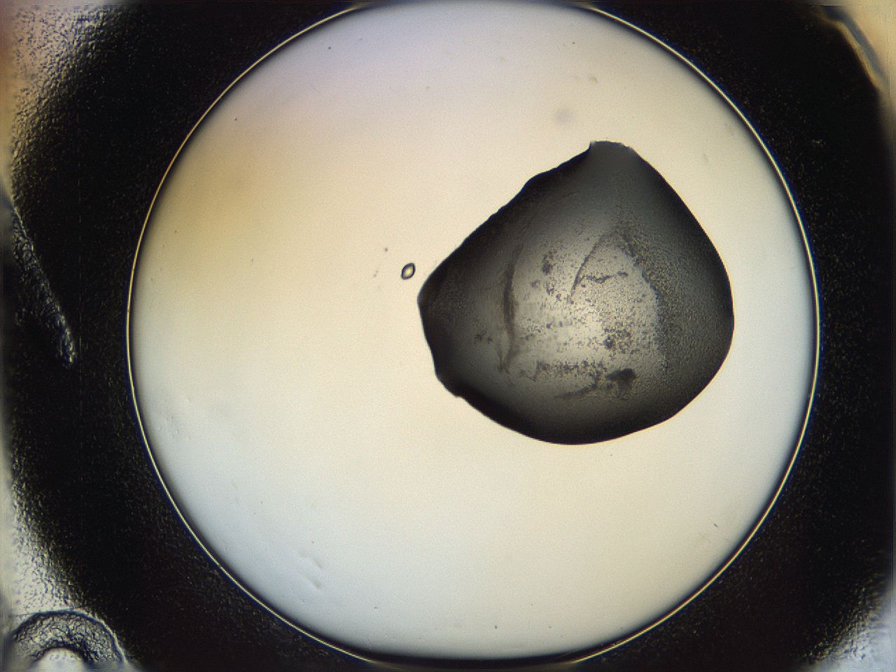 064f_A10_ImagerDefaults_1.jpg