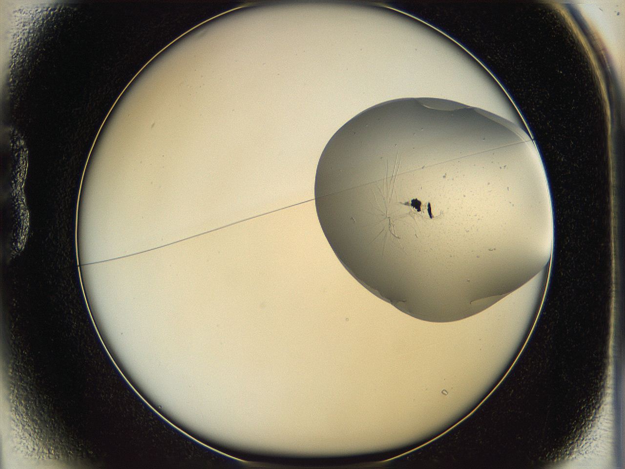 064f_B1_ImagerDefaults_0.jpg