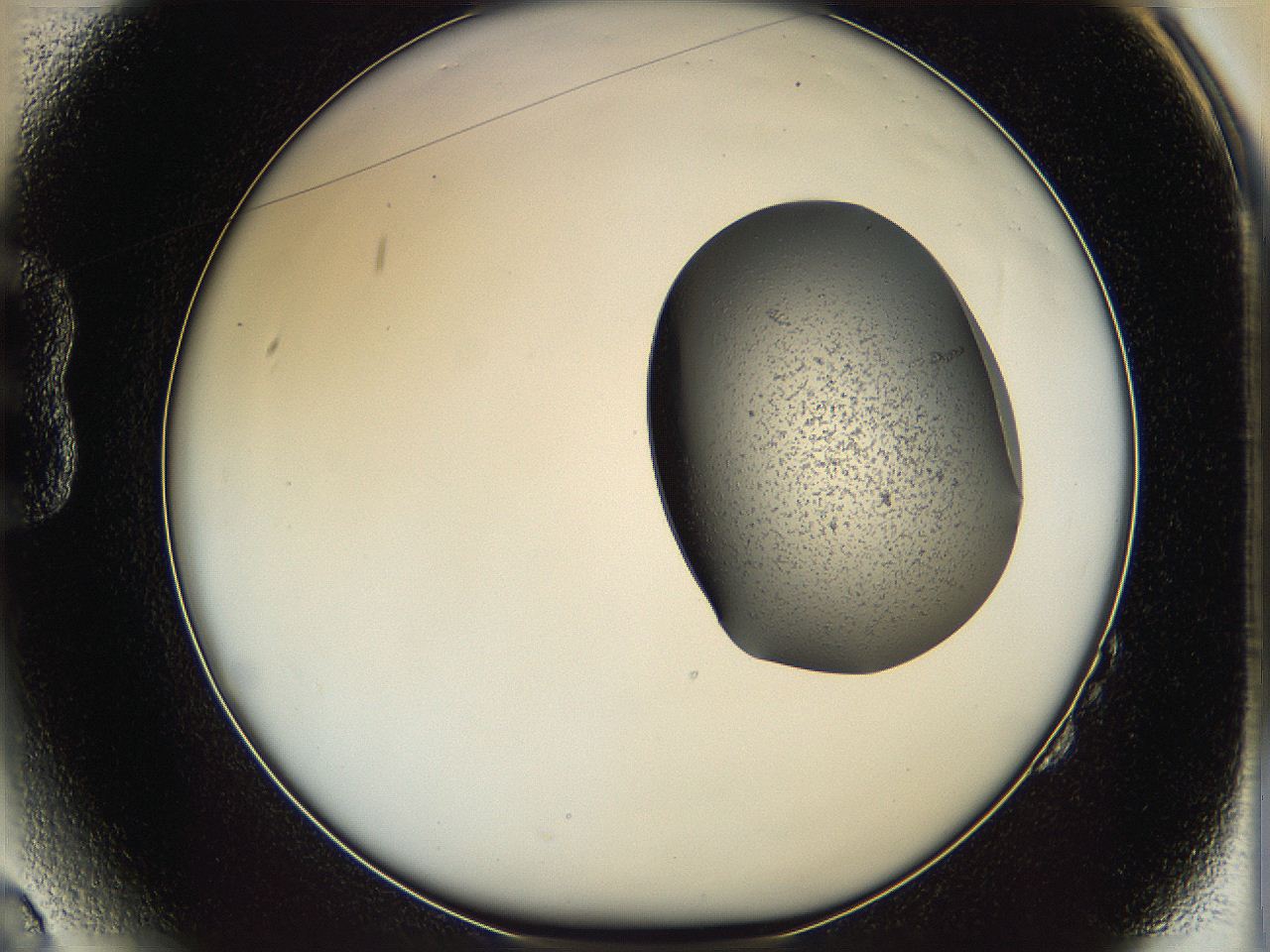 064f_B2_ImagerDefaults_1.jpg