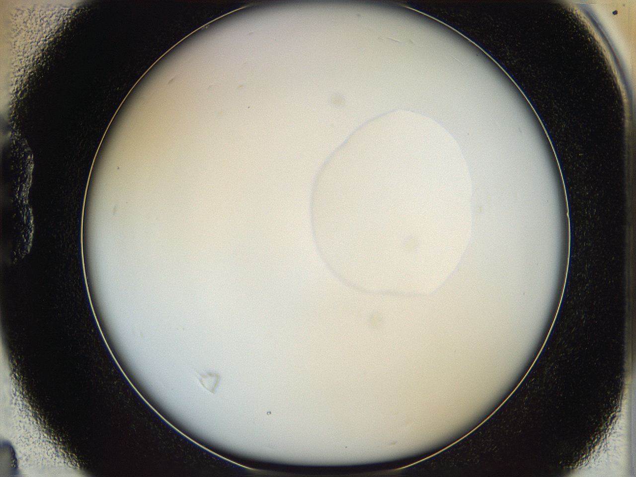 064f_B4_ImagerDefaults_0.jpg
