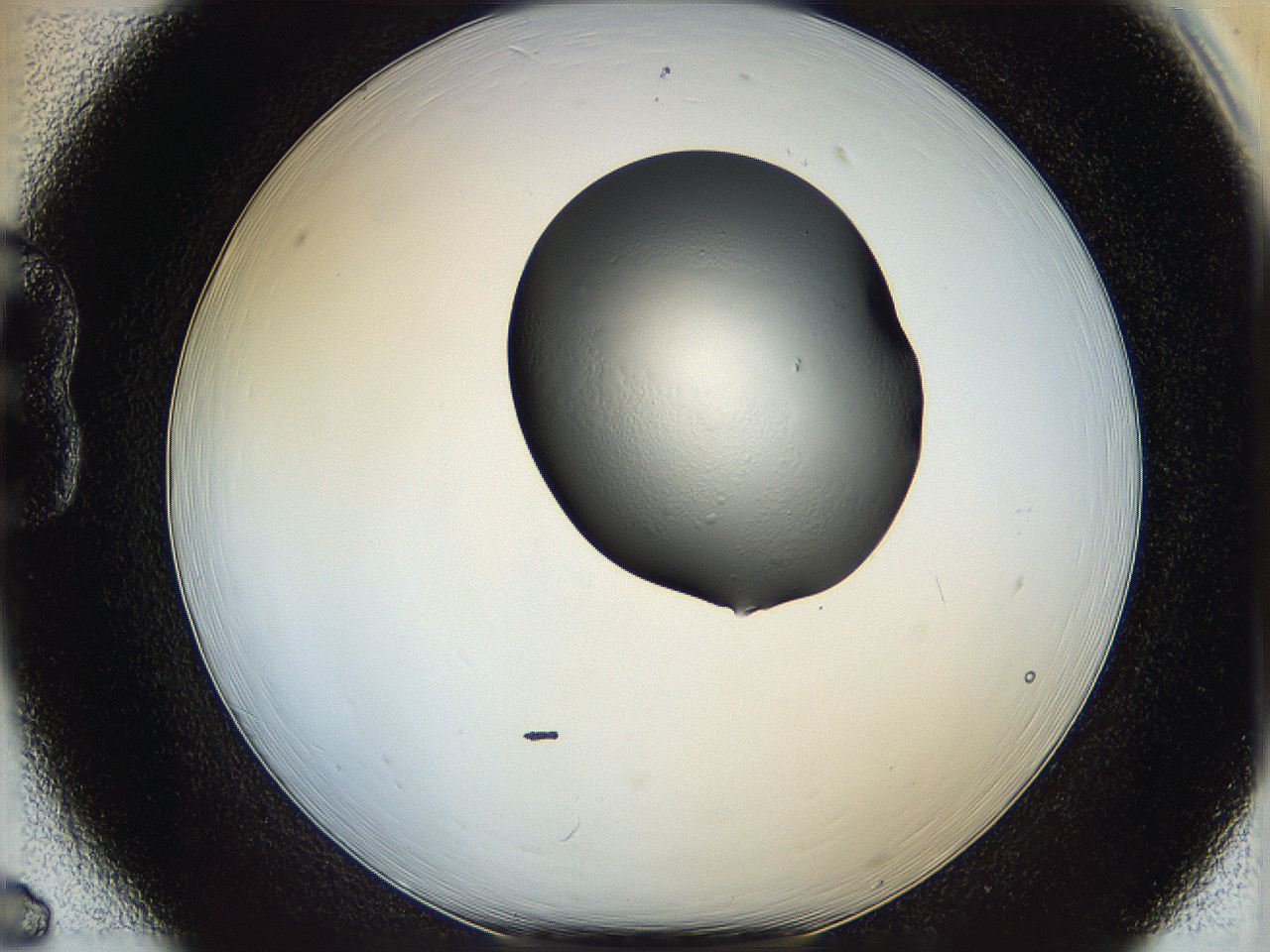 064f_B6_ImagerDefaults_0.jpg