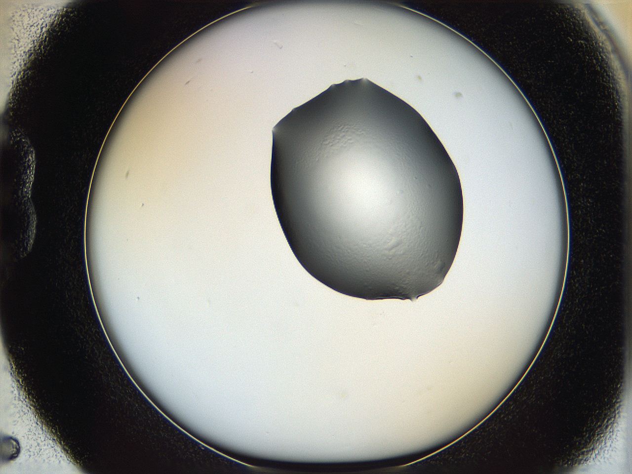 064f_B5_ImagerDefaults_0.jpg