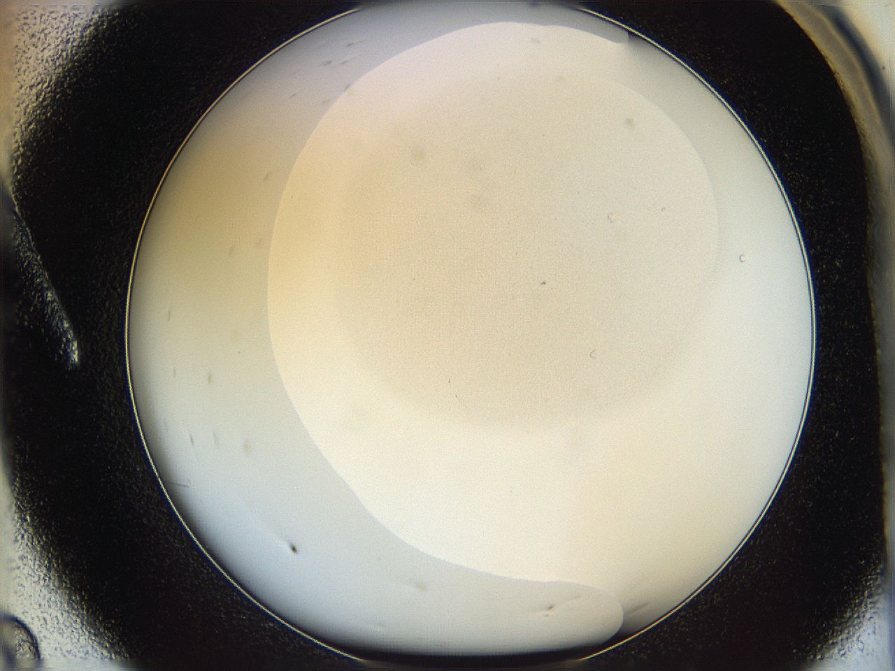 064f_A8_ImagerDefaults_0.jpg