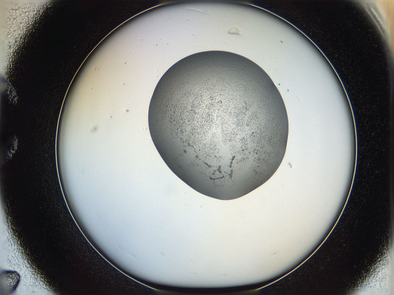 064f_C7_ImagerDefaults_5.jpg